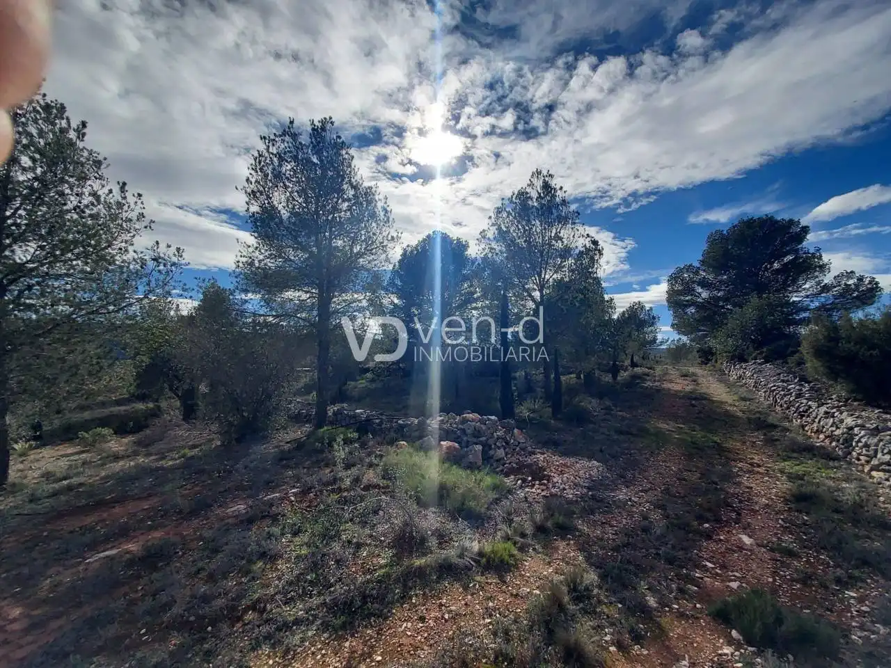 Terreno en venta en Enguera