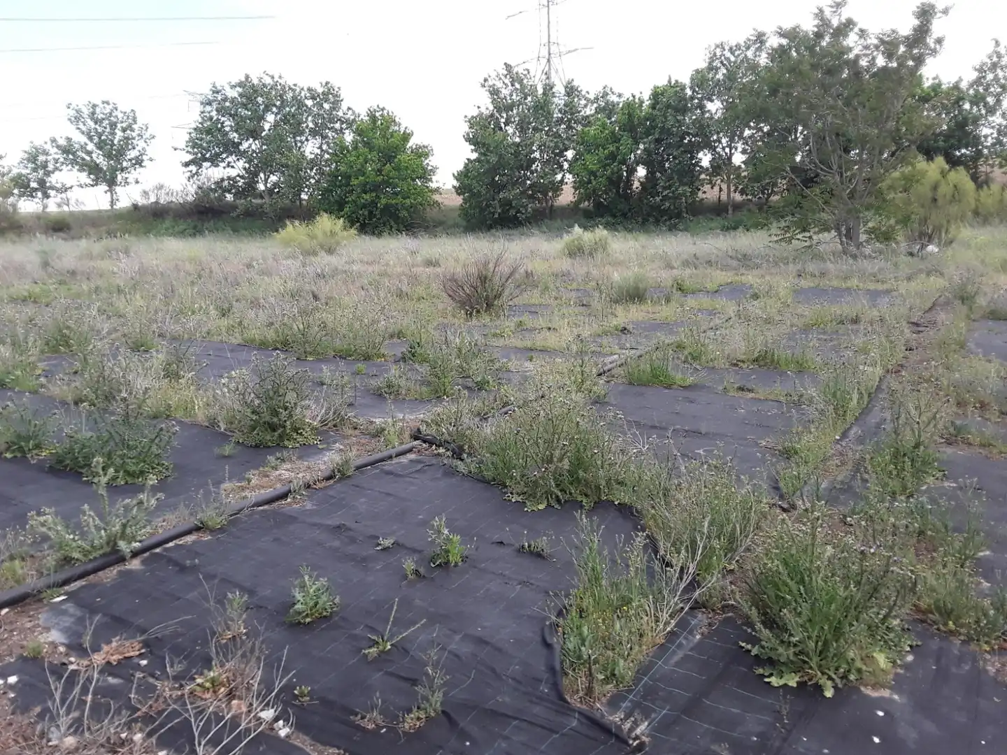 Terreno en venta en Moraleja de Enmedio