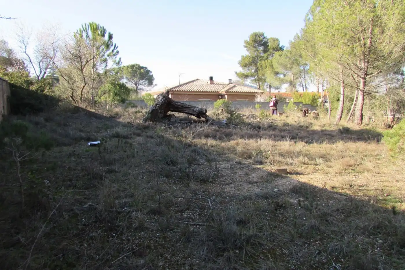 Lands and plots for sale in La Pobla de Claramunt, imagen 6