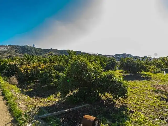Terreni e lotti in vendita a Torrox Pueblo, imagen 8