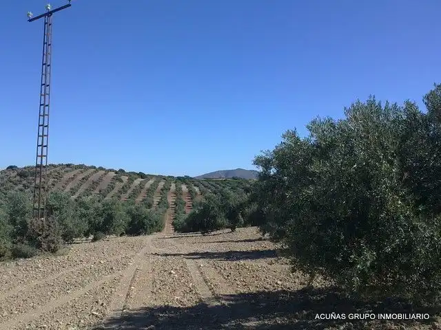 Lands and plots for sale in Bobadilla - Bobadilla Estación - La Joya, imagen 12