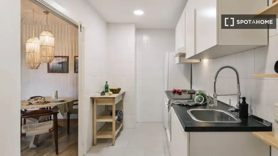 Cuina de Apartament per a compartir en Barcelona amb Aire condicionat, Terrassa i Moblat