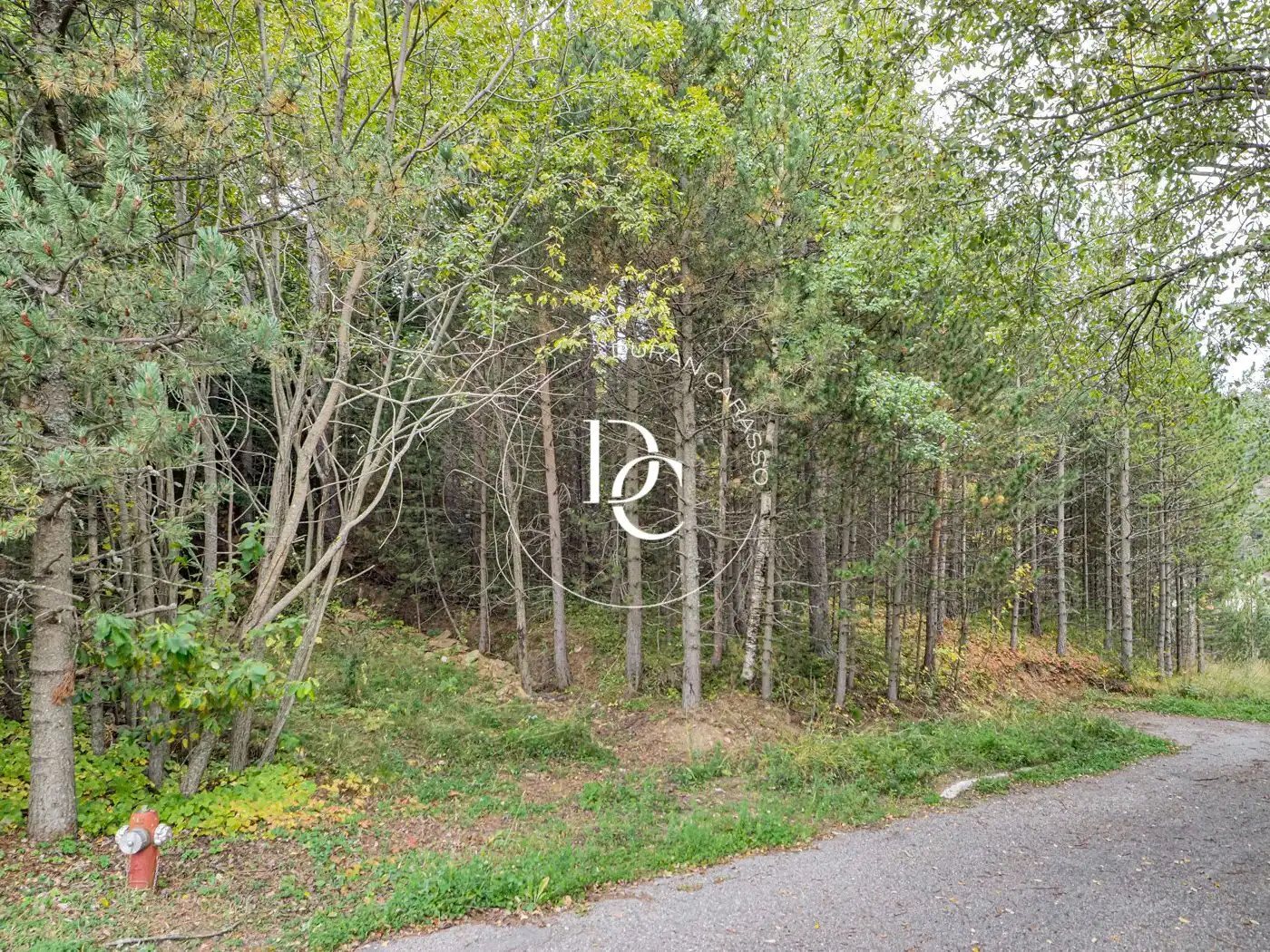 Residential for sale in Alp