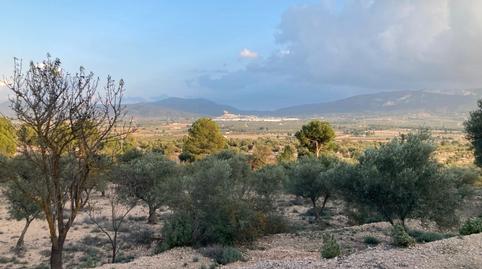 Foto 3 de Finca rústica en venta en San Francisco, Villena