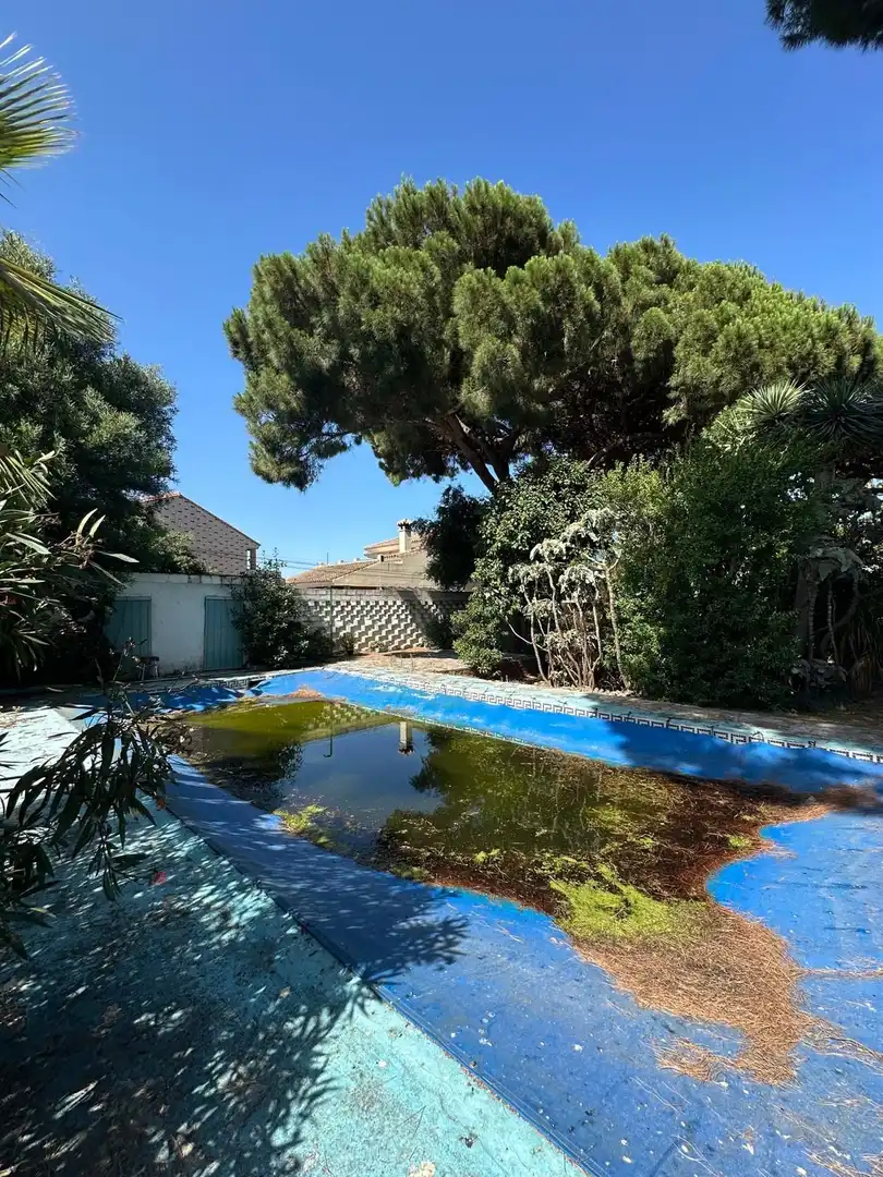 Piscina de Casa o chalet en venta en Algeciras