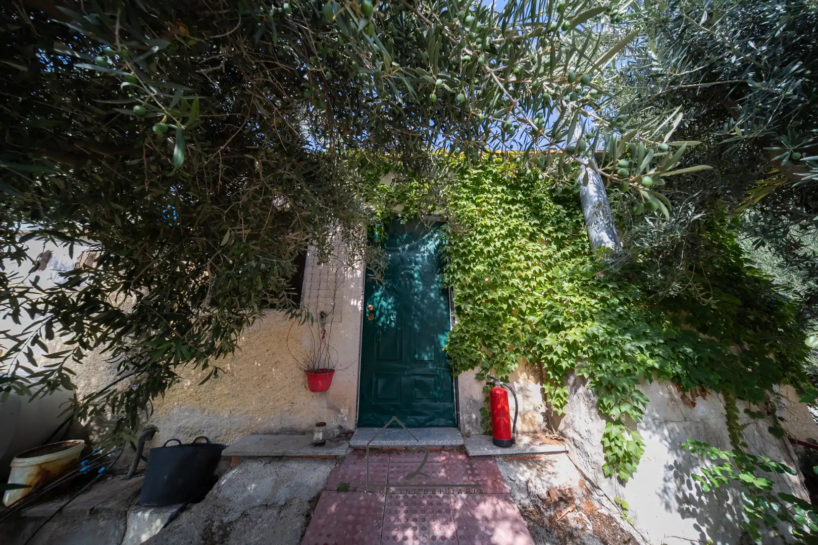 Exterior view of Land for sale in Vícar