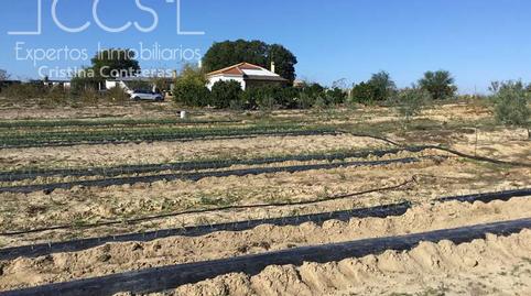 Foto 2 de Finca rústica en venta en Almonte ciudad, Almonte