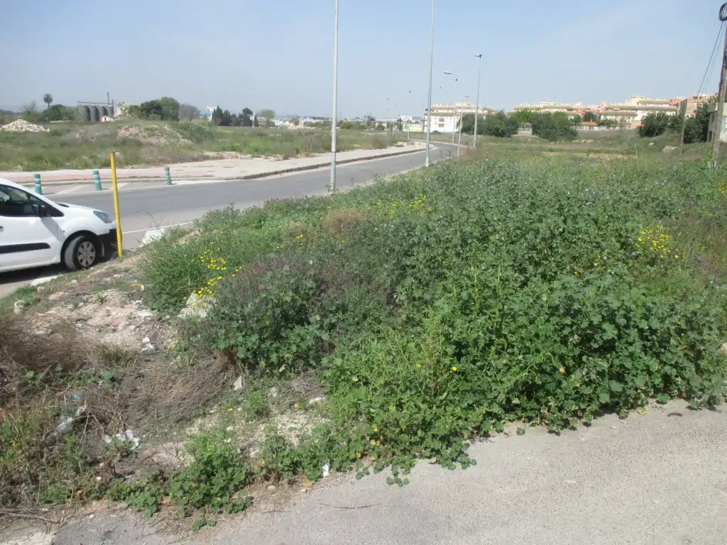 Terreno rustico in vendita a C/ Els Molins, imagen 7