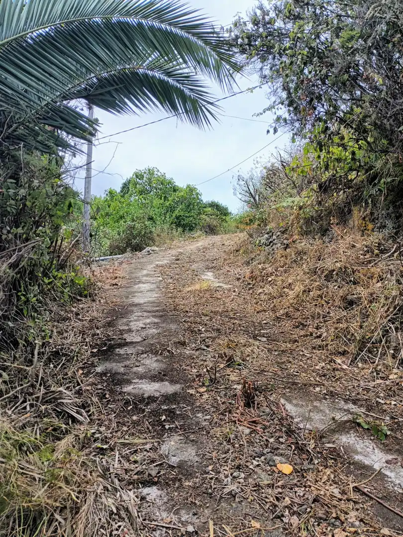 Rural land for sale in La Vega - El Amparo - Cueva del Viento, imagen 14