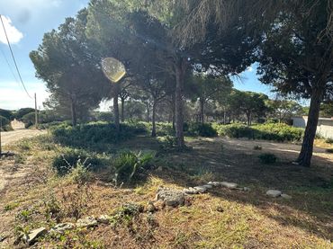 Rustikales Grundstück zum Verkauf in Las Lagunas - Campano
