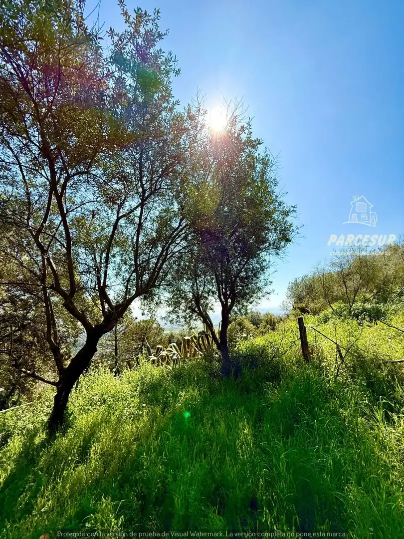 Vista exterior de Finca rústica en venda en Córdoba amb Jardí privat i Traster