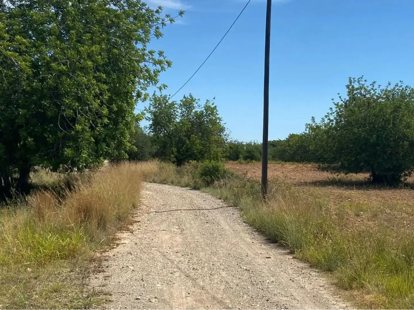Rural land for sale in Extrarradio Diseminado 1, imagen 3
