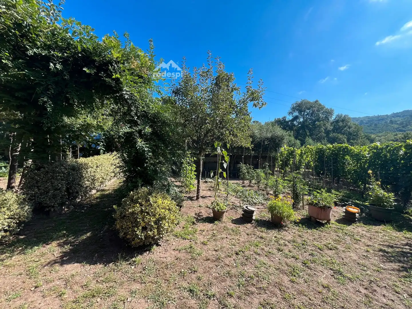Jardín de Casa o chalet en venta en Beade  con Trastero, Piscina y Amueblado