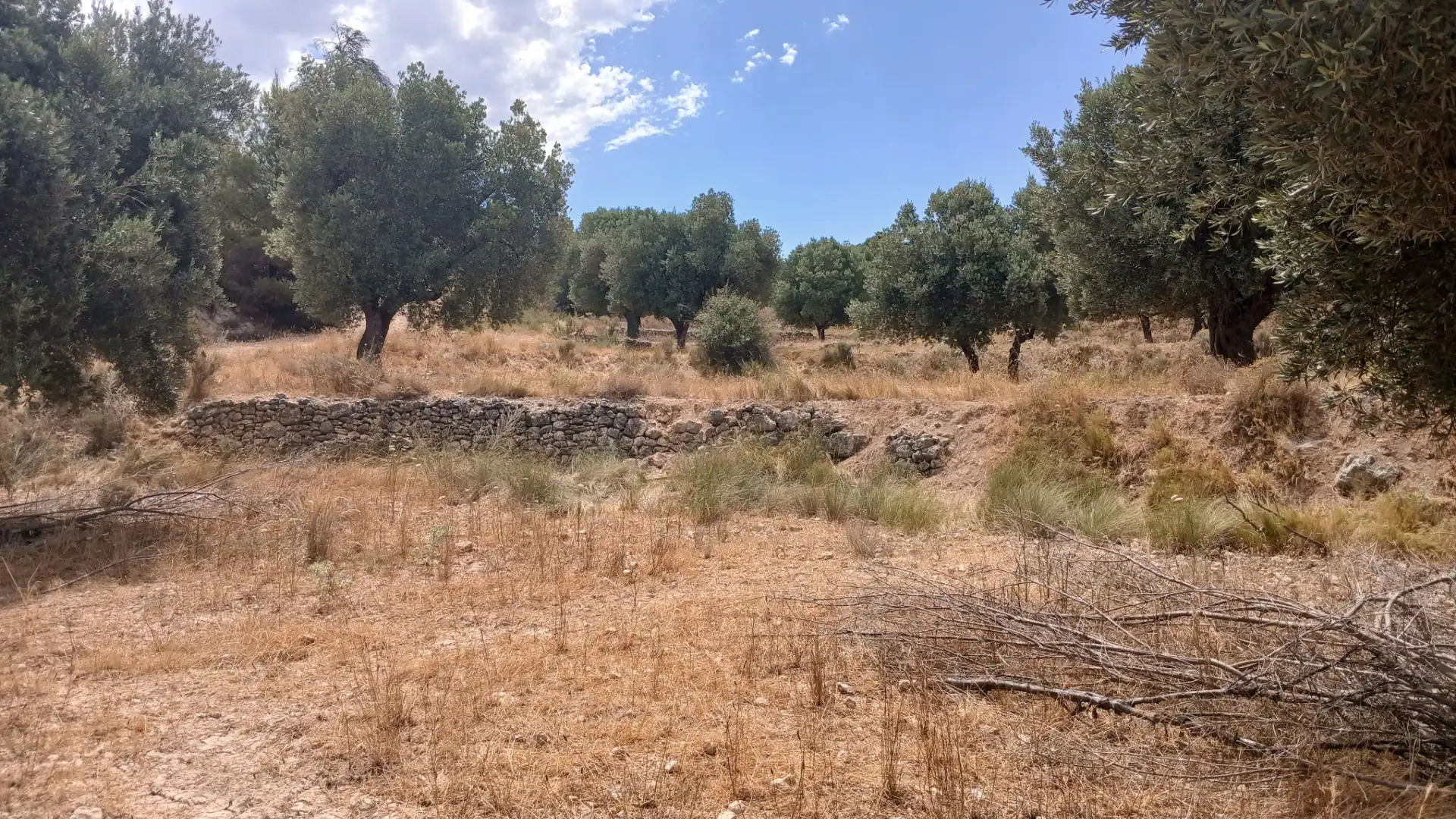 Terreno en venta en Torrevelilla, Teruel