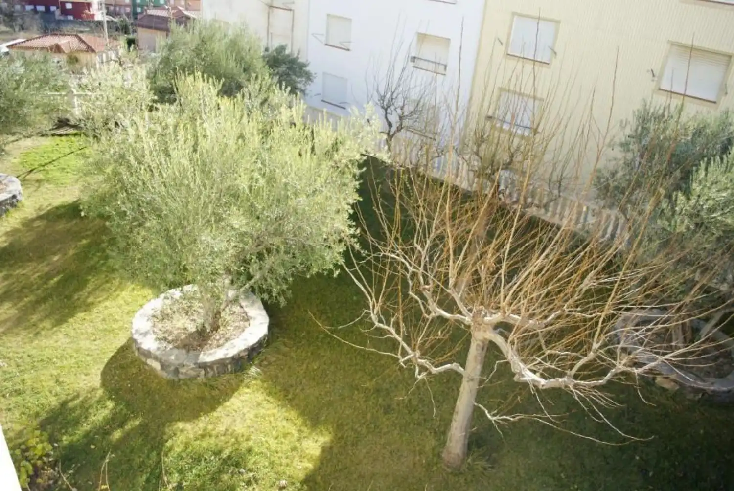 Résidentiel à vendre à Virgen Loreto, imagen 7