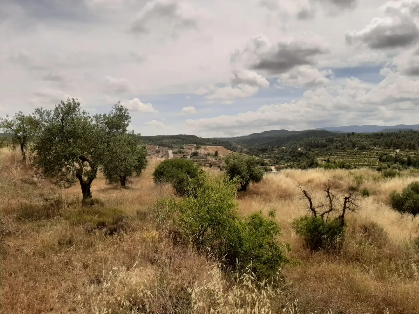 Casa adosada en venda en Cervià de Les Garrigues amb Jardí privat, Terrassa i Balcó