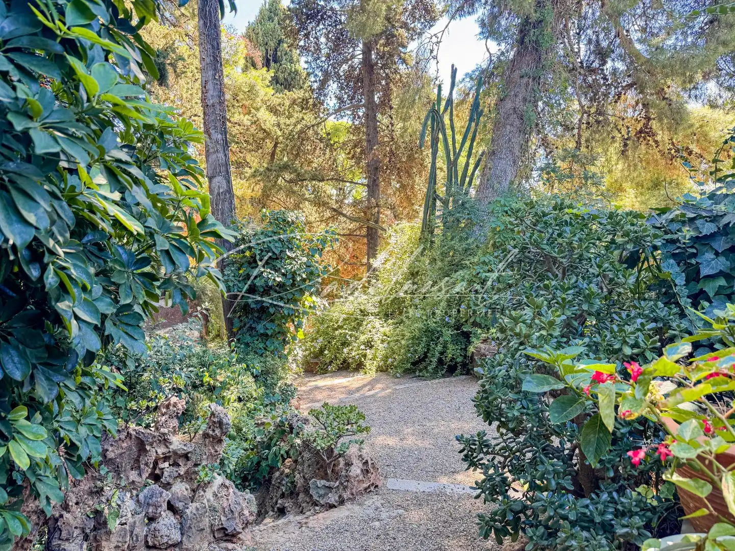 Jardí de Casa o xalet en venda en Reus amb Aire condicionat, Calefacció i Jardí privat