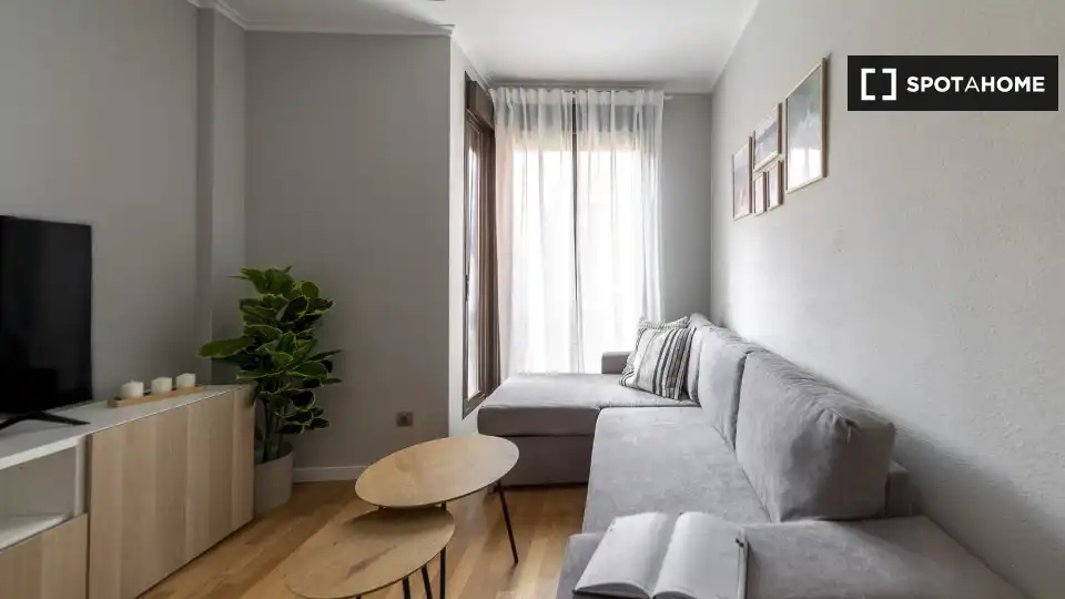 Living room of Flat for rent in Madrid  with Air Conditioner, Heating and Furnished