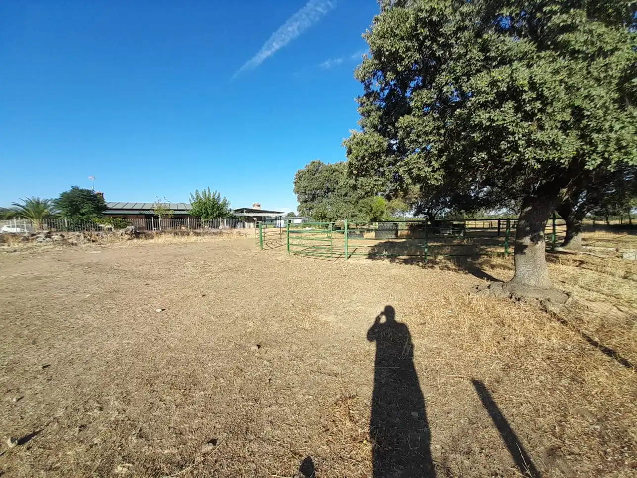 Finca rústica en venta en Almodóvar del Campo con Aire acondicionado y Calefacción