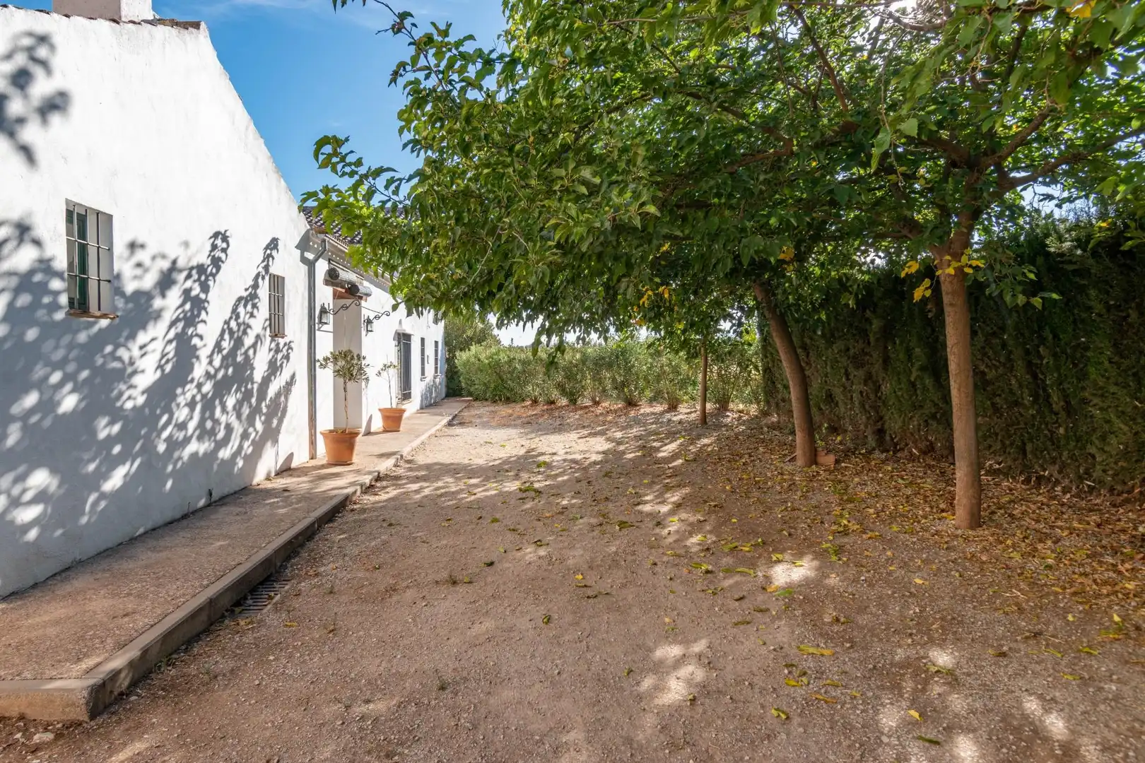 Chalet con piscina en venta en Moraleda de Zafayona, imagen 68