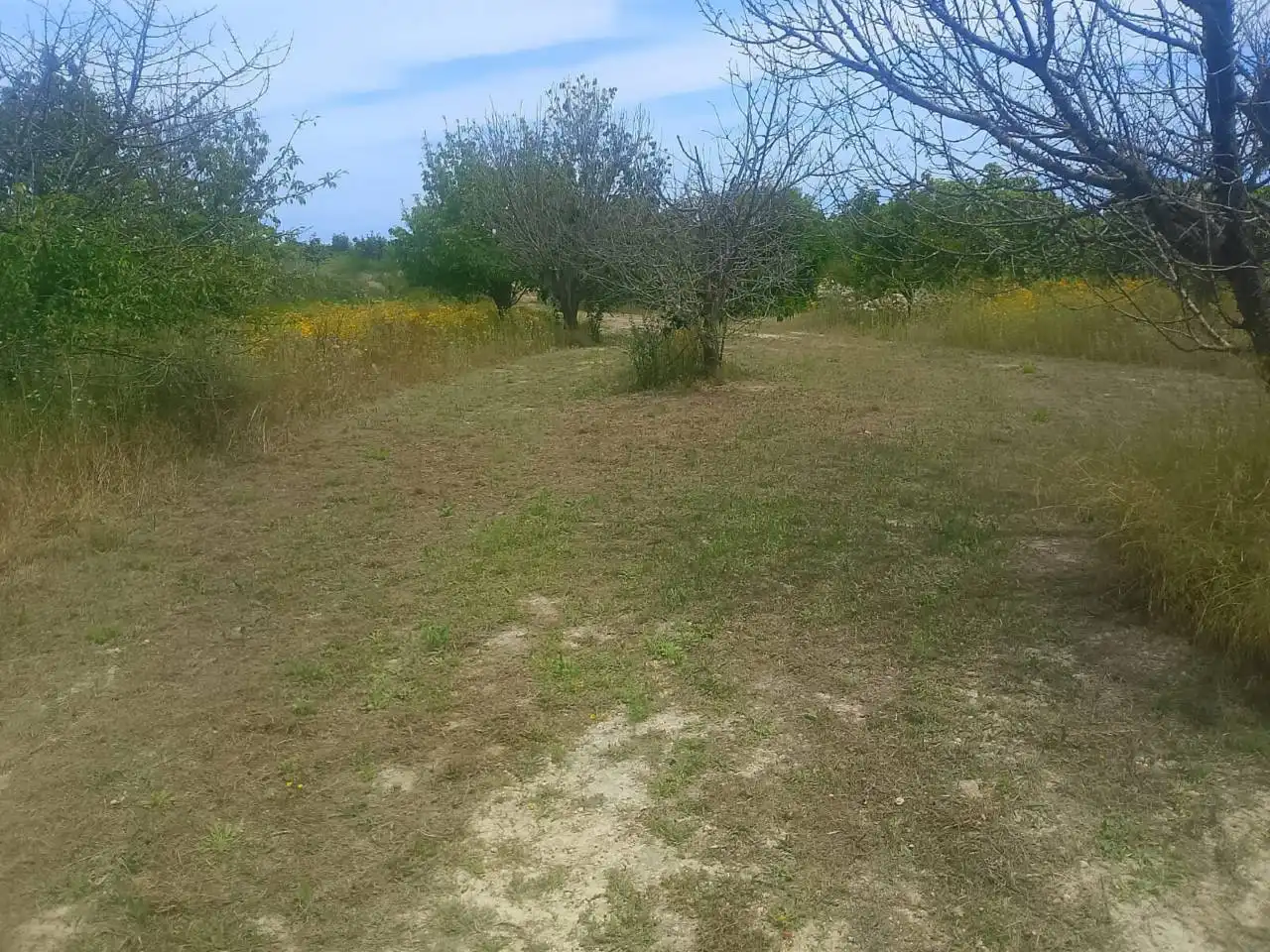 Land for sale in Bélgida