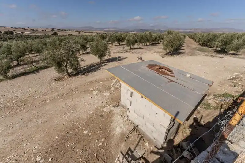 Land for sale in Alamedilla