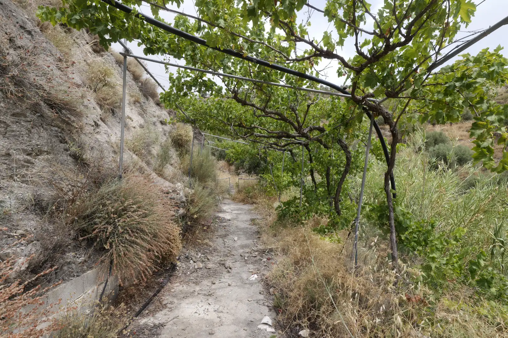 Casa o xalet en venda en Nevada amb Jardí privat, Terrassa i Moblat