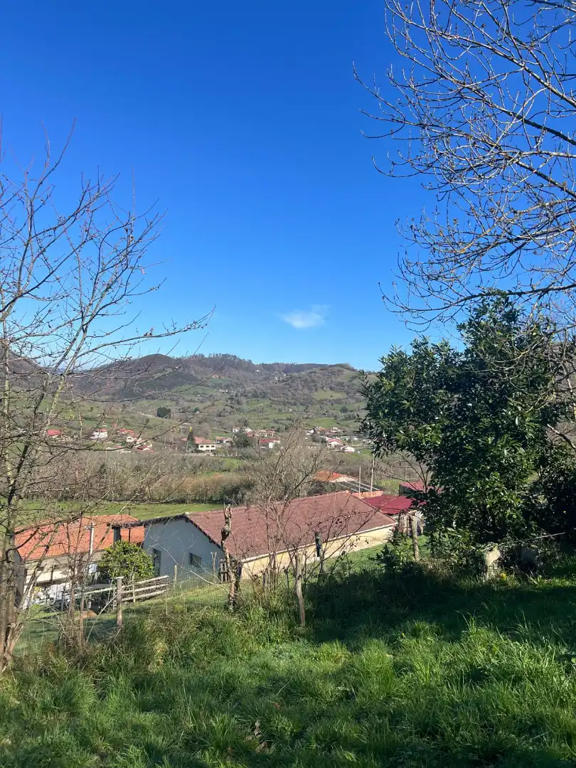 Residential land for sale in Grado, imagen 5