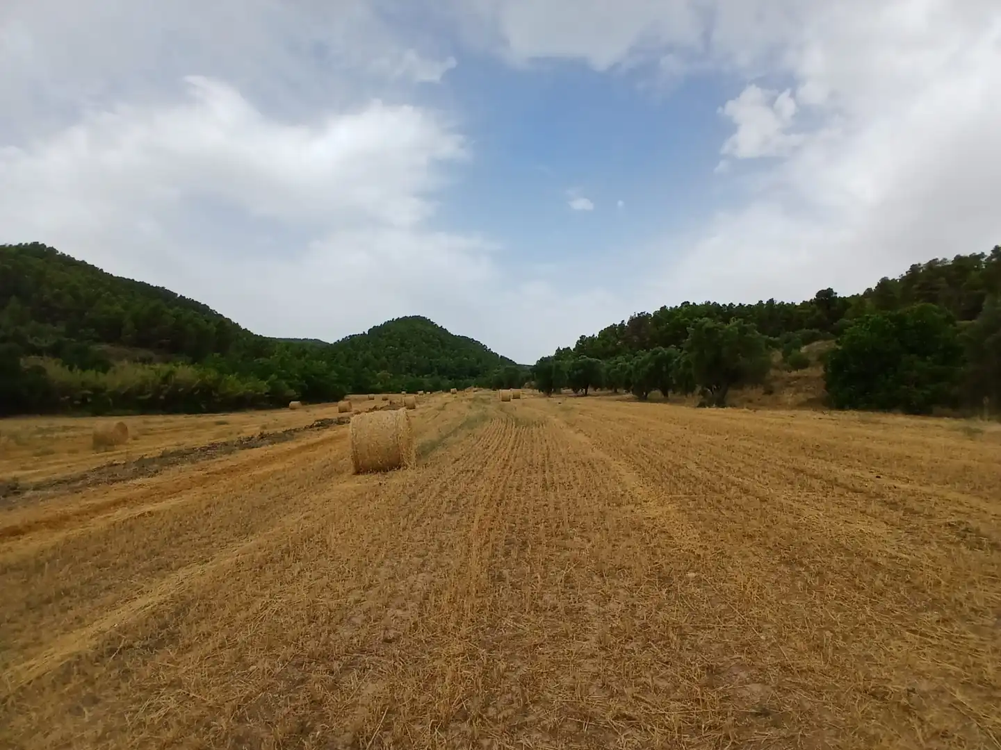 Terreno rustico in vendita a La Fresneda, imagen 6