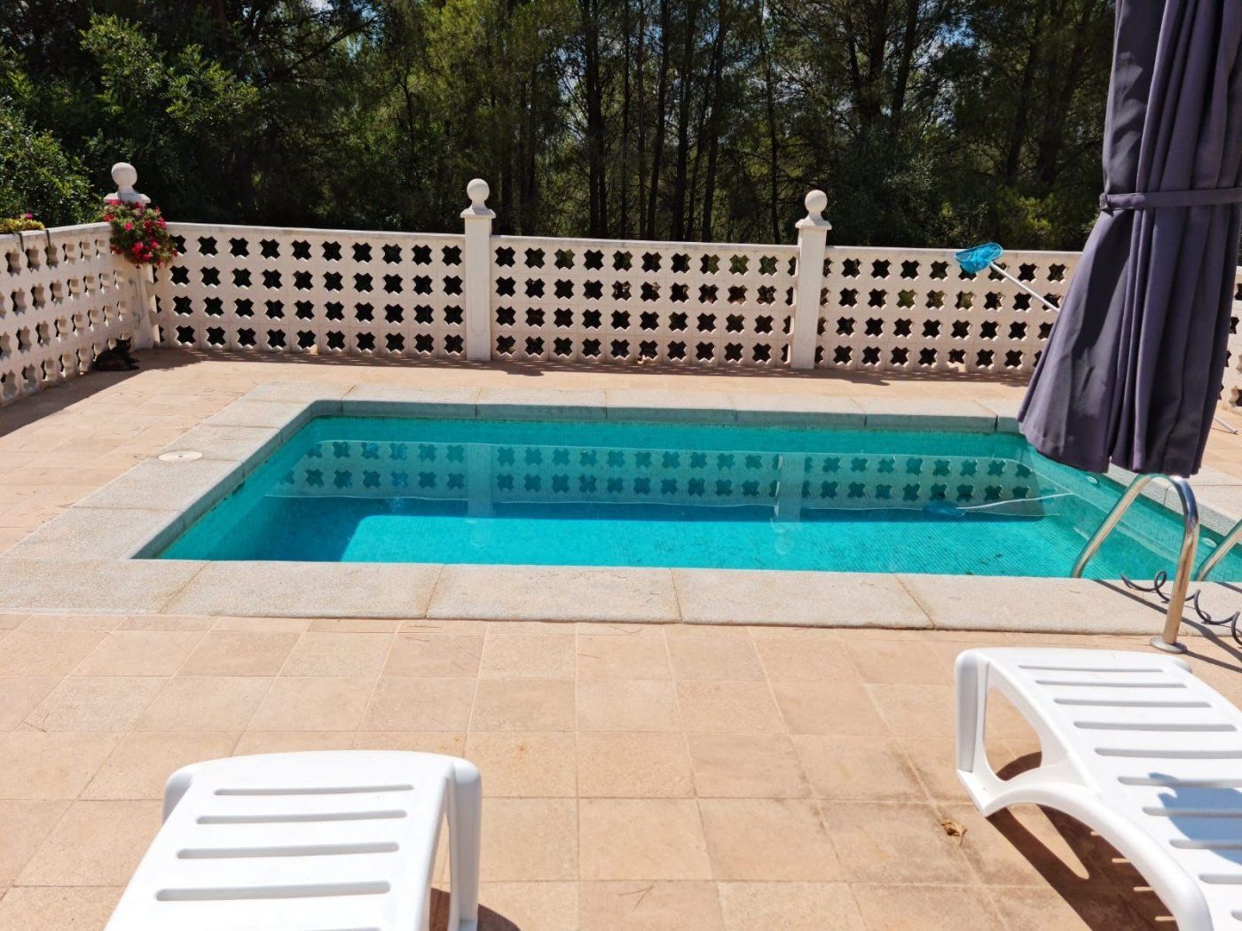 Swimming pool of House or chalet for sale in Useras /  Les Useres  with Air Conditioner, Heating and Private garden