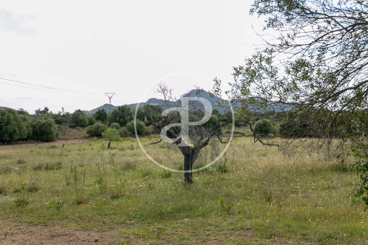 Terreny residencial en venda a Av. Montferrutx, imagen 37
