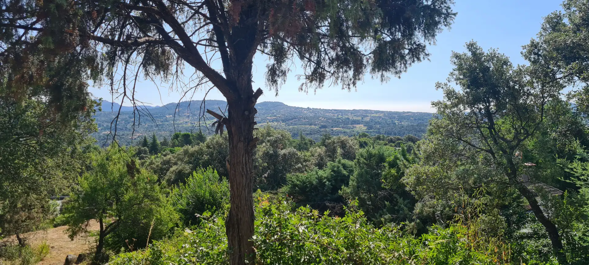 Residential land for sale in Calle Tajuña 726, imagen 8