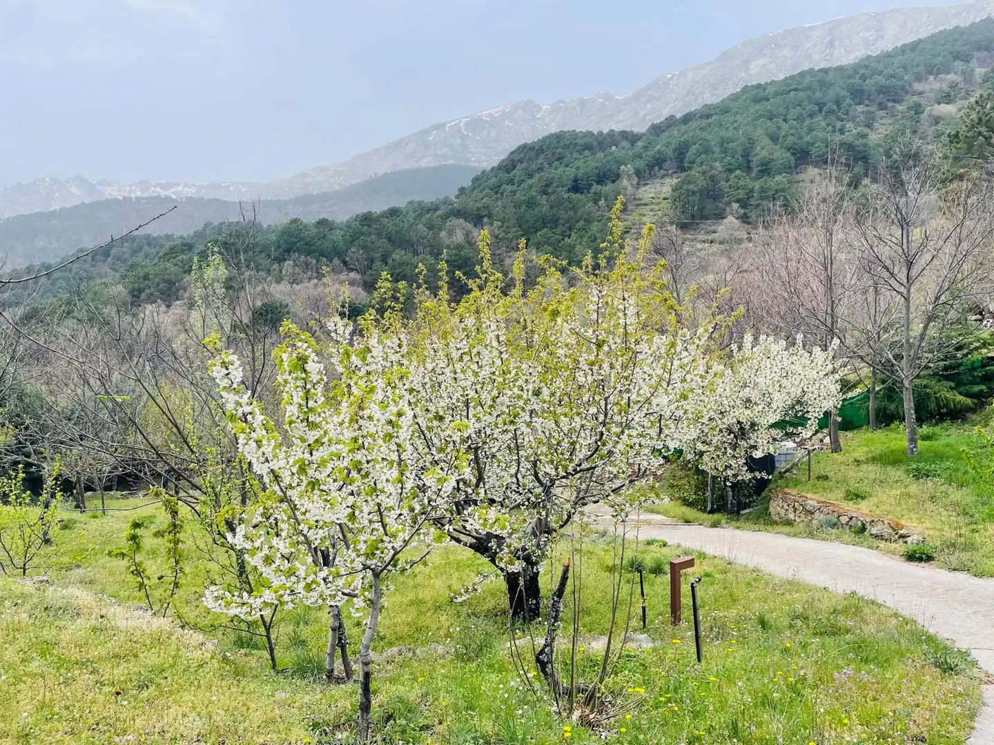 Jardí de Finca rústica en venda en El Arenal  amb Moblat