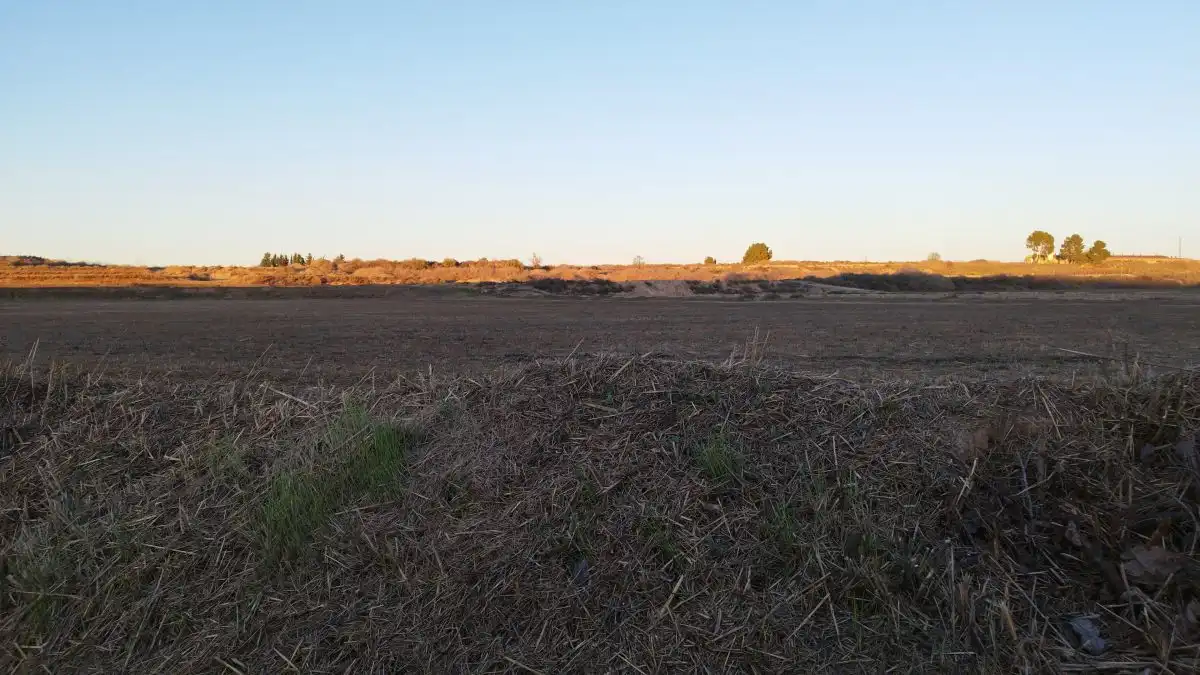 Terreny rústic en venda a Artesa de Lleida