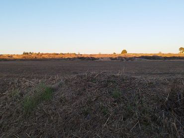 Terreny rústic en venda a Artesa de Lleida