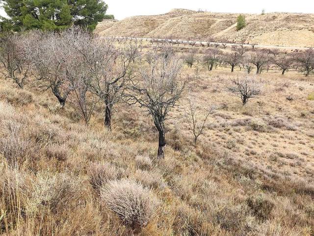 Terreno en Venta en de batan en Maluenda