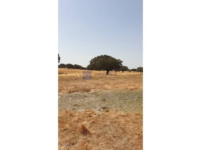 Casa-chalet en Venta en Alcuéscar