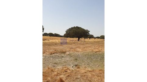 FINCA GANADERA DE UNAS 600 HECTÁREAS EN LA ZONA DE ALCUÉSCAR
