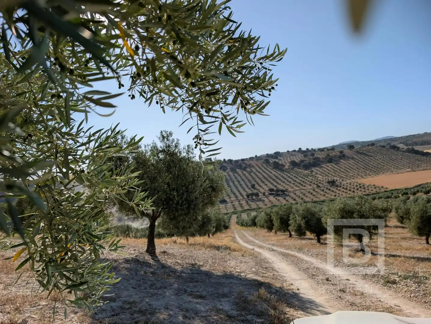 Terreno rustico in vendita a Maracena