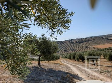 Rustikales Grundstück zum Verkauf in Maracena