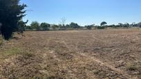 Land for sale in Los Palacios y Villafranca