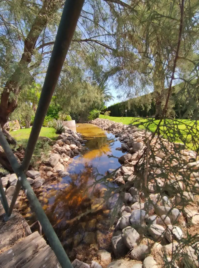 Jardí de Casa o xalet en venda en Elche / Elx amb Aire condicionat, Calefacció i Jardí privat