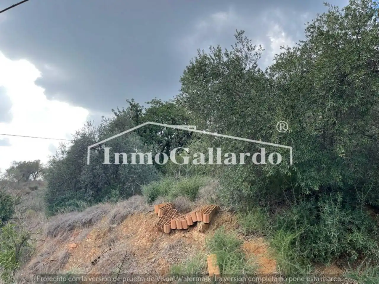 Houses for sale in Comares  with Private garden