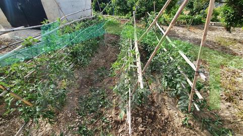 Foto 5 de Finca rústica en venda a Partida Font de Mira, Orxeta, Alicante