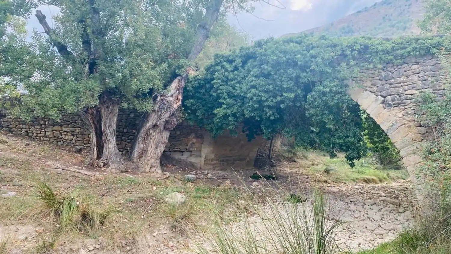 Finca rústica en venda en Olocau del Rey amb Terrassa i Traster