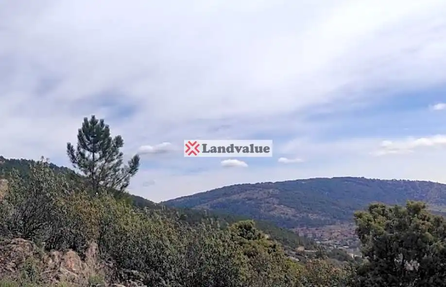 Rural land for sale in FINCA RUSTICA CERRO JARRALON. Polígono 9 Parcela 98, imagen 6