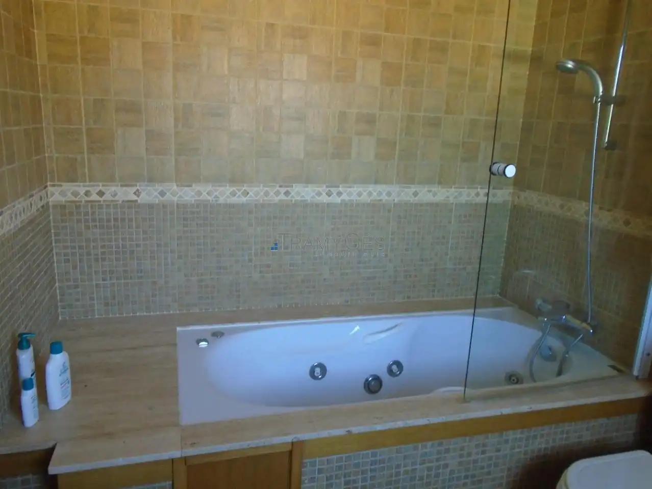 Bany de Casa o xalet en venda en A Guarda   amb Calefacció, Jardí privat i Parquet
