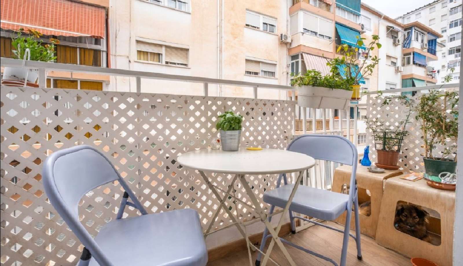 Apartment to share in La Luz - El Torcal