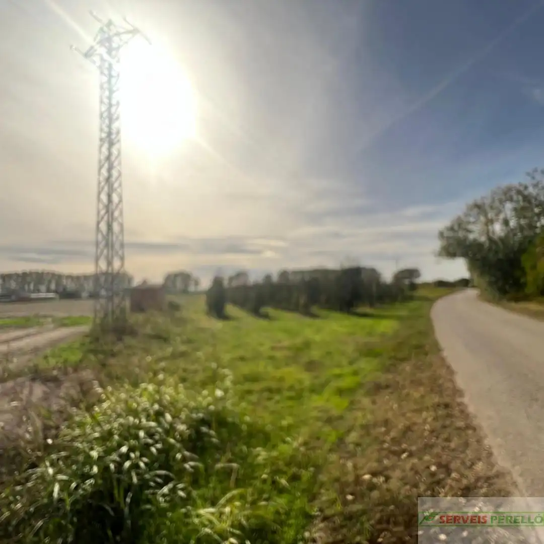 Terrenos y solares en venta en Golmés, imagen 3