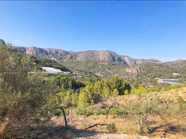 Terreno rústico en venta en Bolulla